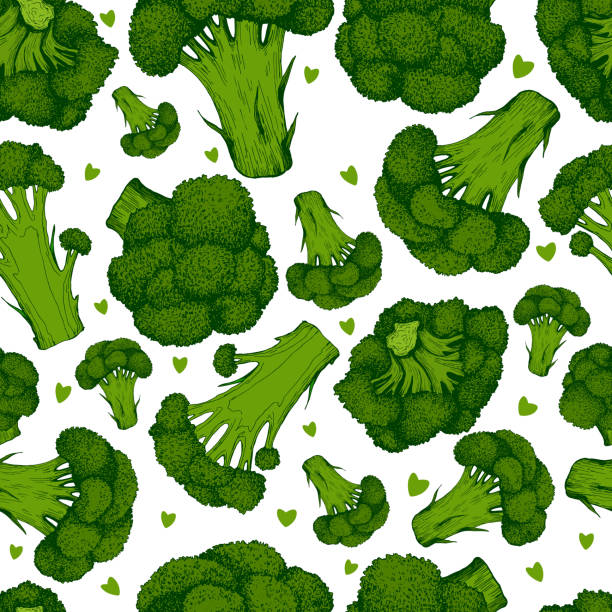 ilustraciones, imágenes clip art, dibujos animados e iconos de stock de jugoso brócoli verde y pequeños corazones coloridos frescos vegetales sin costura patrón, aislado en blanco - agriculture backgrounds cabbage close up