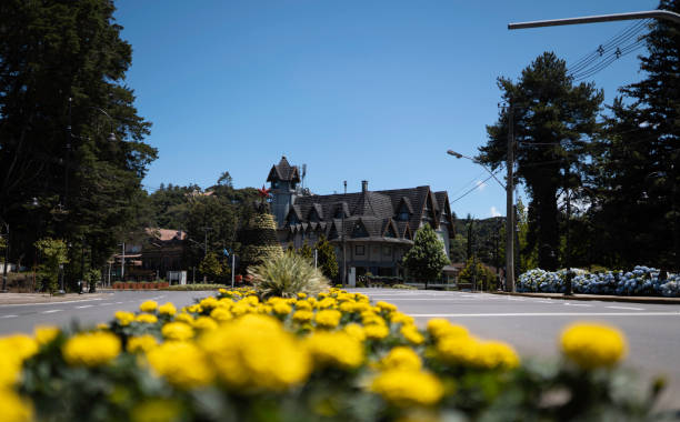 avenue avec de belles fleurs et décorations de noël dans la ville de gramado, rio grande do sul, brésil. - boulevard mansion road grounds photos et images de collection