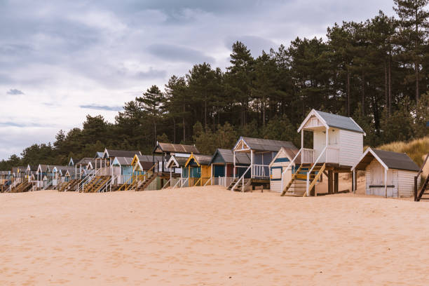 istock Beach Huts in Wells-next-the-Sea, Norfolk, England 1291032333