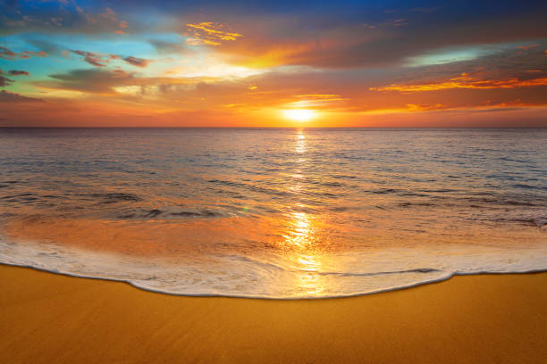 istock Colorful ocean beach in sunrise. 1291033121