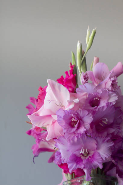 istock Bouquet  Pink gladiolus in glass vase 1291033215