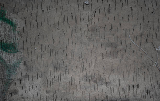 istock Grey grunge textured wall. Copy space, winter time 1291039707