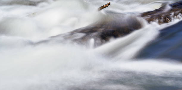 long exposure photo - water flowing over rock near drifted tree branch, everything smooth, only stationary wood and rock is in focus - drifted imagens e fotografias de stock