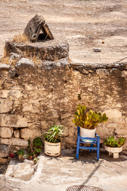 vasos con flores cerca de una pared de piedra - greek islands table window sun fotografías e imágenes de stock