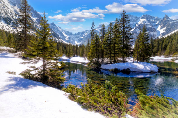 ポーランドでの休暇 - タトラ山脈のリビポトック渓谷の冬の景色 - tatra national park ストックフォトと画像