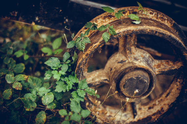 Close up shot of the rusty metal wheels of an abandoned wagon, with some plants growing.