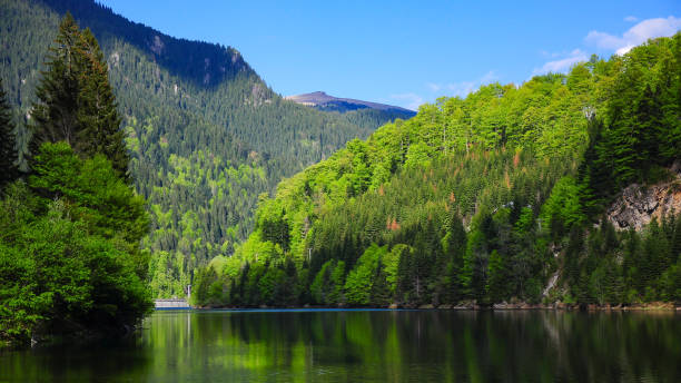 istock Back of Petrimanu Lake 1291051525