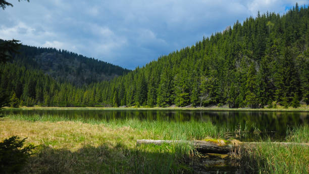 istock Iezerul Latoritei Glacial Lake 1291051530