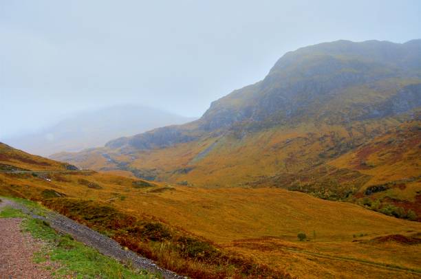 istock Portree Scotland Gorse Scene - I 1291052338