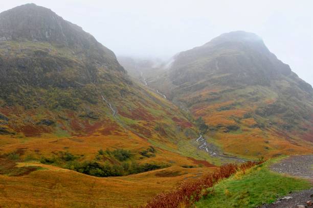 istock Portree Scotland Gorse Scene - II 1291052487