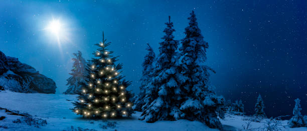 istock Christmas tree in winter at night 1291052983