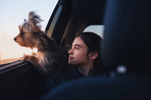 istock Happy girl and her Yorkshire Terrier. 1291053806