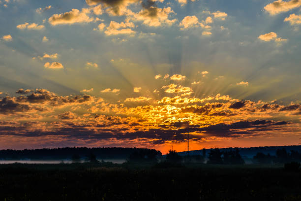 istock Fog on a meadow in morning on summer 1291053996