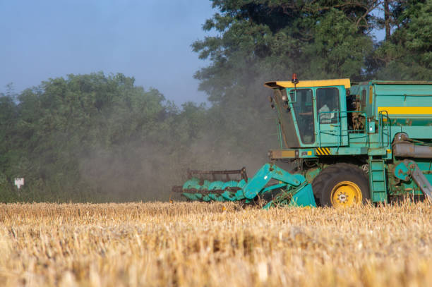 istock Combine machine is harvesting oats on working 1291056603