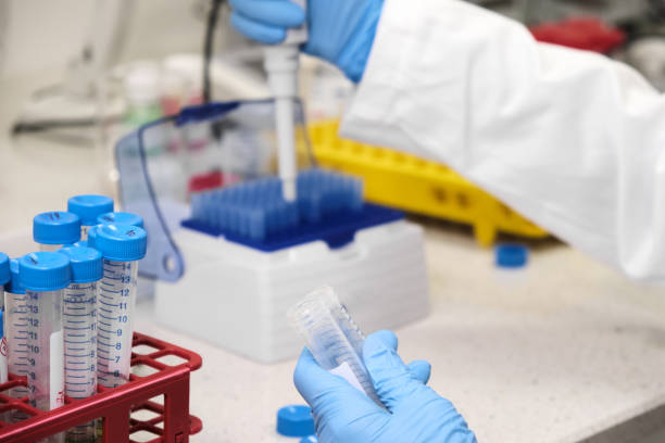 istock Chemist or scientist in a blue rubber gloves collecting samples from falcone tubes using automatic pipette. Rack with the test tubes on the background. Research laboratory. Developing of pharmaceuticals and vaccine. 1291057009