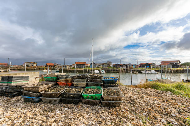 Oyster cabins in Larros Harbor in Arcachon Bay - Gujan-Mestras, Aquitaine, France stock photo