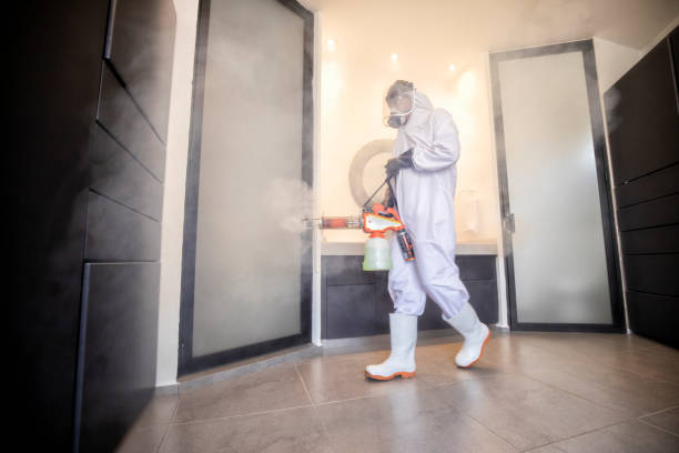 istock Disinfection disinfection cleaning 1291059531