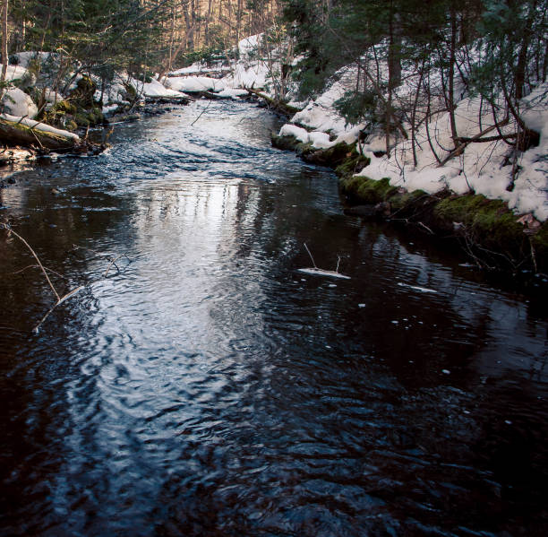 Nature of northern europe lapland in winter.