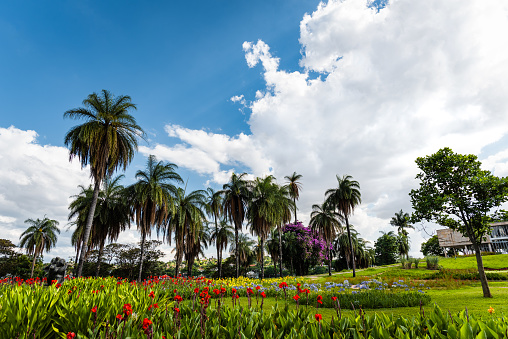 Bangkok’s new Benjakitti Park - a wetland park in the central city