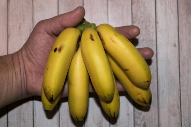 istock Bunch of baby bananas. 1291066804