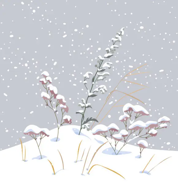 Vector illustration of Winter snow covered meadow plants.