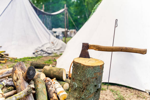 istock An axe stuck in the stump of a tree with chopped logs 1291076445