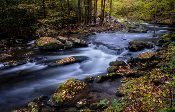 istock Mountain Stream and Autumn Leaves 1291077855