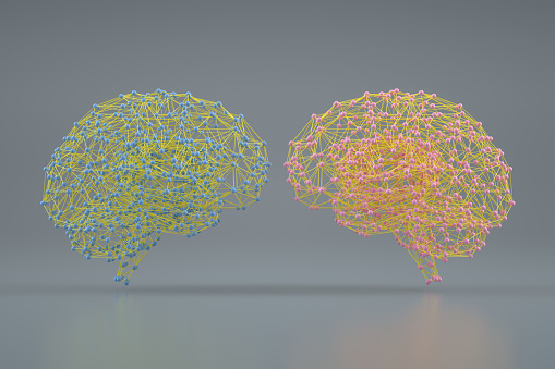 3d rendering of low poly brain. Artificial intelligence, machine learning concept with brain. Female and male brain,