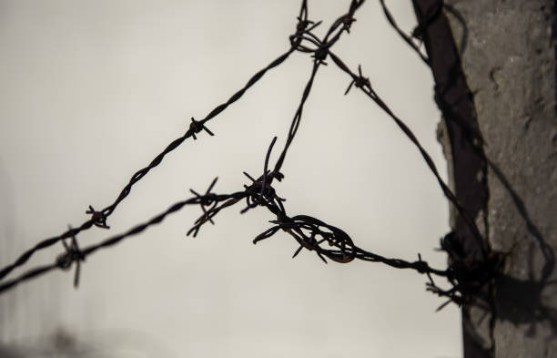 istock Fine metal fence 1291081146
