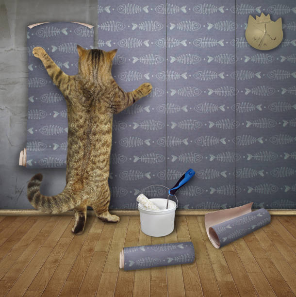 istock Cat doing apartmet repair 1291081857