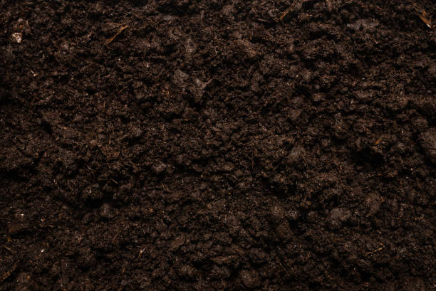 istock Black land for plant background. 1291082032