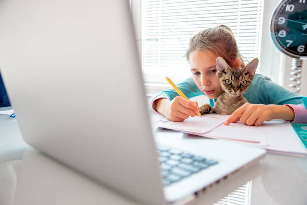 istock Little Girl Studying and Doing Schoolwork at Home With Her Cat 1291084420