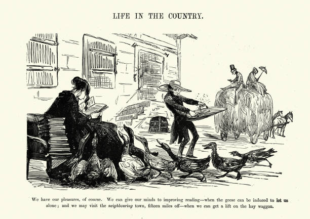 Vintage illustration of a caricature of rural life, reading, geese, riding hay waggon, by Gustave Dore, Victorian 1860s