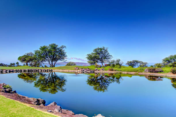 bujne tropikalne krajobrazy na polu golfowym w wailea na hawajskiej wyspie maui - haleakala national park maui nature volcano zdjęcia i obrazy z banku zdjęć