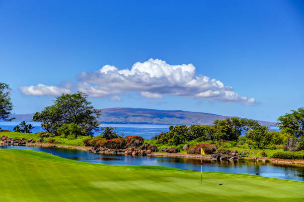 Lush tropical landscapes on a golf course in Wailea on the Hawaiian island of Maui Lush tropical landscapes on a golf course in Wailea on the Hawaiian island of Maui maui stock pictures, royalty-free photos & images