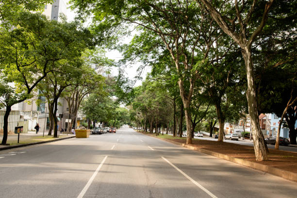 istock Belo Horizonte city, in Brazil 1291088429