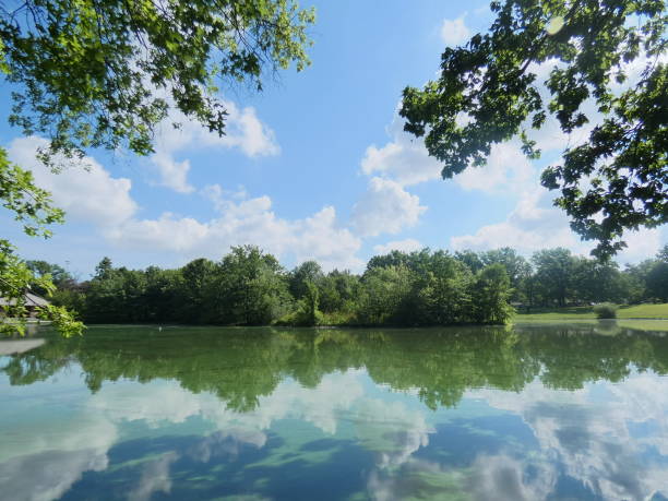 istock Bright blue and trees on island reflecting on quiet lake 1291090657