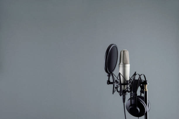 Audio recording vocal studio voice microphone Professional microphone in a mic holder.
Copy space for your design. podcasting photos stock pictures, royalty-free photos & images