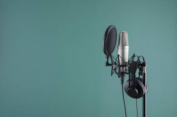 audioaufnahme vocal studio sprachmikrofon - dynamisches mikrofon stock-fotos und bilder
