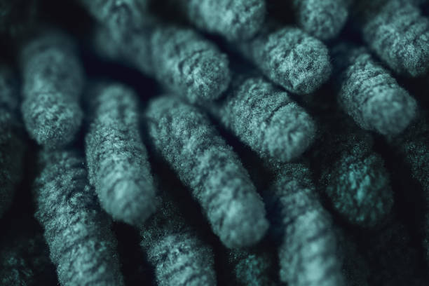 Microfiber cloth surface texture macro in Tidewater Green 2021 color trends.