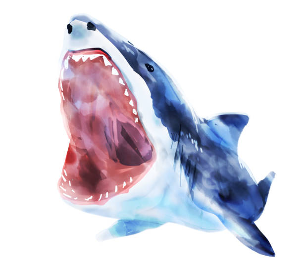 stockillustraties, clipart, cartoons en iconen met een haai die je aanvalt - toy shark