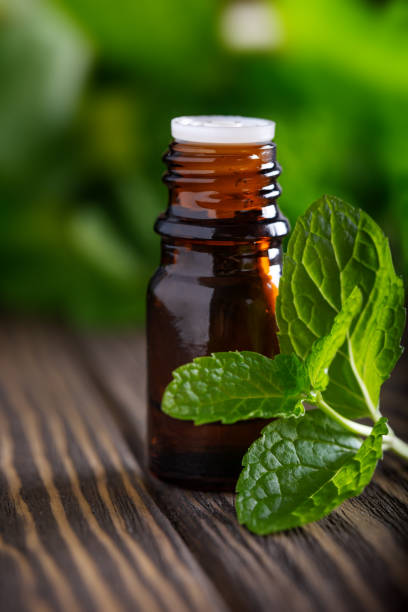 Blank amber bottle with essential oil Peppermint with  mint leaves stock photo