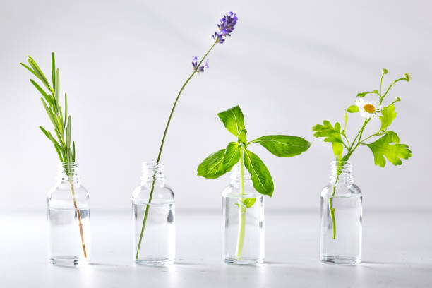 istock Transparent bottles with fresh herbs for aromatherapy 1291094797