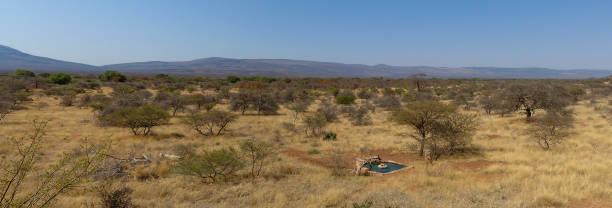 Farm in South Africa