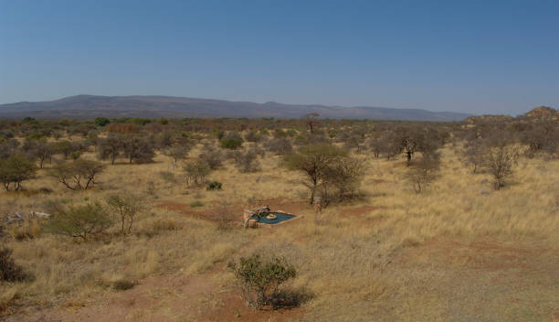 istock Farm in South Africa 1291100520