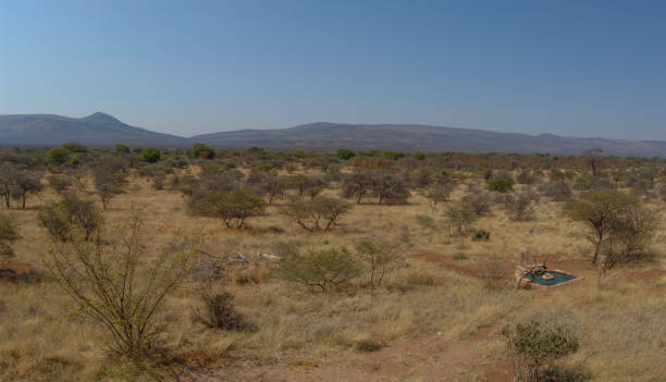 istock Farm in South Africa 1291101033