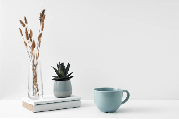 uma caneca e uma panela com uma planta, um vaso transparente com uma flor, fundo branco. materiais ecológicos em decoração interior, minimalismo. copiar espaço, zombar - 13589 - fotografias e filmes do acervo