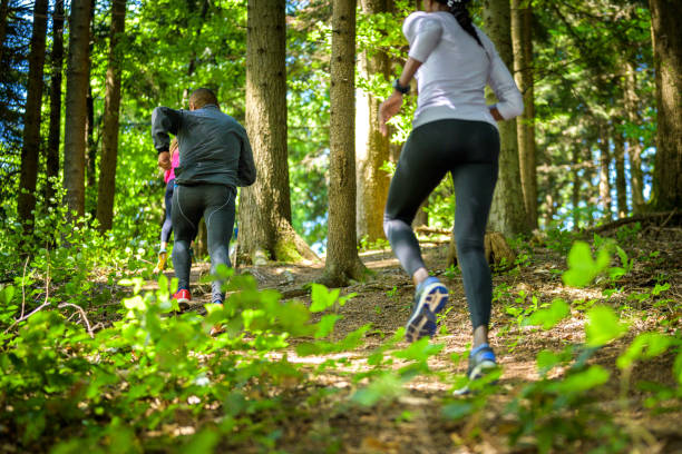 istock Group of runners in forest on sunny day 1291101450