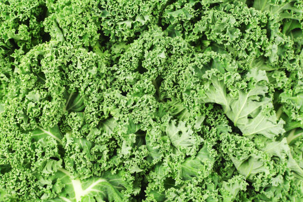 istock Green curly kale background close up, top view 1291101601