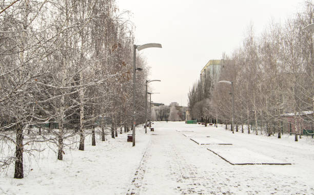 istock Winter city landscape with trees along the pedestrian path and lanterns, winter cloudy day 1291102403